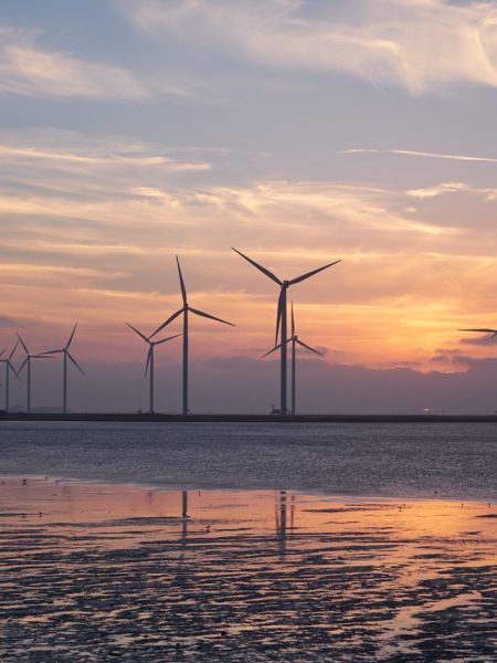 Παντελής Καγιαμπής Τοπογράφος Καβάλα